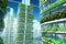 Vertical Farming System Large-scale, high-tech that use hydroponic and aeroponic techniques to grow crops reducing the need for