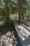 Vertical, Fawn Lakes wooden pathway in New Mexico.