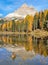 VERTICAL: Female duck dips head into tranquil refreshing water of Lago d\\\'Antorno