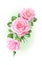 Vertical flower arrangement of pink roses.