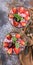 Vertical food banner. Curd with jam, yogurt, fresh strawberries and mint leaves