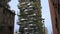 Vertical forest apartment buildings in Milano, Italy