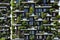 Vertical forest. Bosco verticale Contemporary architecture in Milan, Italy