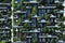 Vertical forest. Bosco Verticale Contemporary architecture in Milan, Italy