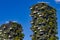 Vertical Forest buildings in Milan, Italy