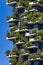 Vertical Forest buildings in Milan, Italy