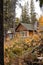 Vertical of forest cottages captured in autumn with yellow foliage