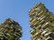 Vertical Forest Towers - Sustainable Green Architecture