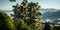 vertical forests, panoramic view of a modern apartment building in the middle of the forest