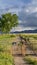 Vertical frame Rusty gate chain link fence and dirt road on a grassy field in front of a lake