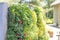 Vertical garden containing vibrant green annuals and flowering plants