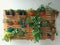 Vertical garden flower on wood palette