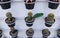 vertical garden of several type of tiny cactus on black pots hanging on white wall viewed from top