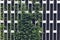 Vertical gardening on a metal chrome grid