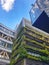 Vertical gardening outside the building.