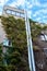 Vertical gardening with weaving plants. Walls covered with ivy. Pipes along the wall up to the roof. Antenna on the roof