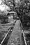 Vertical grayscale shot of a pathway in the middle of a garden with a building in the distance