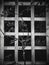 Vertical grayscale shot of thorny rose branches climbing on the wooden square lattice