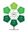 Vertical Green Timeline infographics. Tree of development and growth of the business. Time line. Eco Business concept with 6