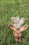 Vertical Group of Felted Rabbits or Bunnies on Grass