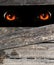 Vertical Halloween background with old wood boards and red eye of the monster looks through the hole