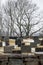 Vertical high-angle of a cemetery with deciduous tree gloomy sky background