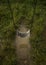 Vertical high angle shot of a rusty swing over a small puddle in the grassy field