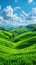 vertical illustration of beautiful green hills and meadows with a blue cloudy sky