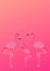 Vertical illustration of beautiful three flamingos on pink background