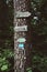 Vertical image of arrows and signs attached on a tree trunk