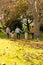 Vertical image of back view of multi generation caucasian family spending time in autumn garden