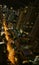 Vertical Image of Bangkok Downtown Impressive Night View, the Capital City of Thailand