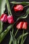 Vertical image.Beautiful bouquet of red tulips on the black plates, dark surface
