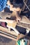 Vertical image of a carpenter woman marks the place of the cut on a wooden Board