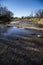 Vertical image of a drying river lined with trees