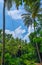 Vertical image of a girl swinging on a Bali swing in rainforest on this beautiful island of indonesia