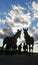 Vertical image of a herd of backlit horses looking at the camera