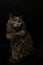 Vertical image of longhair gray domestic cat sitting looking left against  black background