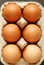 Vertical Image of Organic Chicken Eggs in Paper Carton Box