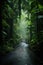 Vertical image of a rainy night jungle path with wet ground in light fog