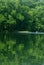 Vertical image of river kayakers surrounded by lush woods- copy space.