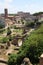 Vertical Image of the Roman Forum