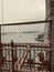 Vertical image of sailboats gliding across the horizon on the waters of New York City