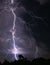 Vertical Image of Scary Real Lightning Striking over the Forest at Night