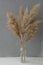 Vertical image of some branches of pampas grass in vase on light gray background.