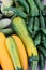 Vertical image of Summer vegetables of summer squash, zucchini, cucumbers and hot peppers