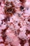 Vertical Image of the texture of delectable strawberry chocolate chunk ice cream