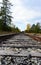 Vertical image of train tracks, blue sky, tall trees