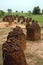 Vertical image of the Wassu stone circles