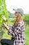 Vertical image of winery worker or farmer woman walk and check grape vine in the yard or field with day light